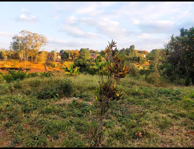 1,400M² VACANT LAND FOR SALE IN MAUNGANI